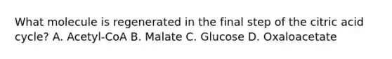 What molecule is regenerated in the final step of the citric acid cycle? A. Acetyl-CoA B. Malate C. Glucose D. Oxaloacetate