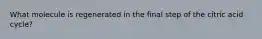 What molecule is regenerated in the final step of the citric acid cycle?