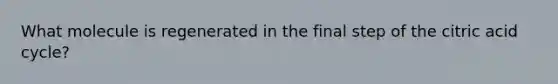 What molecule is regenerated in the final step of the citric acid cycle?