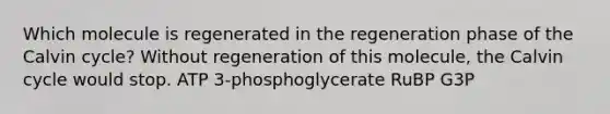 Which molecule is regenerated in the regeneration phase of the Calvin cycle? Without regeneration of this molecule, the Calvin cycle would stop. ATP 3-phosphoglycerate RuBP G3P