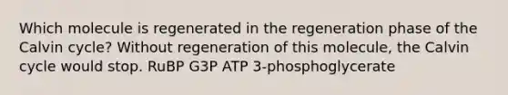 Which molecule is regenerated in the regeneration phase of the Calvin cycle? Without regeneration of this molecule, the Calvin cycle would stop. RuBP G3P ATP 3-phosphoglycerate