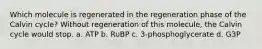 Which molecule is regenerated in the regeneration phase of the Calvin cycle? Without regeneration of this molecule, the Calvin cycle would stop. a. ATP b. RuBP c. 3-phosphoglycerate d. G3P