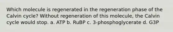 Which molecule is regenerated in the regeneration phase of the Calvin cycle? Without regeneration of this molecule, the Calvin cycle would stop. a. ATP b. RuBP c. 3-phosphoglycerate d. G3P