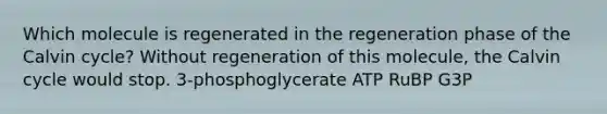 Which molecule is regenerated in the regeneration phase of the Calvin cycle? Without regeneration of this molecule, the Calvin cycle would stop. 3-phosphoglycerate ATP RuBP G3P