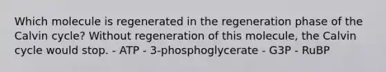 Which molecule is regenerated in the regeneration phase of the Calvin cycle? Without regeneration of this molecule, the Calvin cycle would stop. - ATP - 3-phosphoglycerate - G3P - RuBP