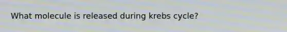 What molecule is released during krebs cycle?