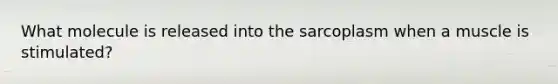 What molecule is released into the sarcoplasm when a muscle is stimulated?