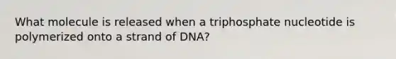 What molecule is released when a triphosphate nucleotide is polymerized onto a strand of DNA?