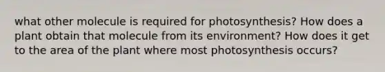 what other molecule is required for photosynthesis? How does a plant obtain that molecule from its environment? How does it get to the area of the plant where most photosynthesis occurs?