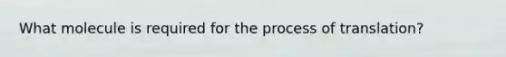 What molecule is required for the process of translation?