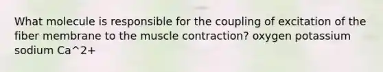 What molecule is responsible for the coupling of excitation of the fiber membrane to the muscle contraction? oxygen potassium sodium Ca^2+