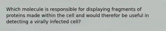 Which molecule is responsible for displaying fragments of proteins made within the cell and would therefor be useful in detecting a virally infected cell?