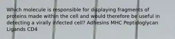 Which molecule is responsible for displaying fragments of proteins made within the cell and would therefore be useful in detecting a virally infected cell? Adhesins MHC Peptidoglycan Ligands CD4