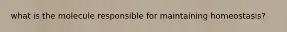 what is the molecule responsible for maintaining homeostasis?