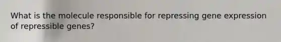 What is the molecule responsible for repressing <a href='https://www.questionai.com/knowledge/kFtiqWOIJT-gene-expression' class='anchor-knowledge'>gene expression</a> of repressible genes?