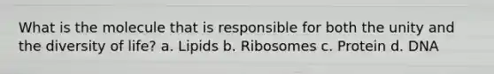 What is the molecule that is responsible for both the unity and the diversity of life? a. Lipids b. Ribosomes c. Protein d. DNA