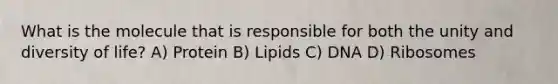 What is the molecule that is responsible for both the unity and diversity of life? A) Protein B) Lipids C) DNA D) Ribosomes