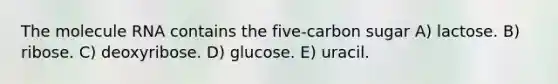 The molecule RNA contains the five-carbon sugar A) lactose. B) ribose. C) deoxyribose. D) glucose. E) uracil.