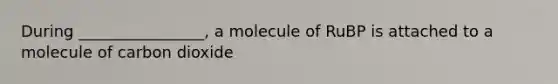 During ________________, a molecule of RuBP is attached to a molecule of carbon dioxide