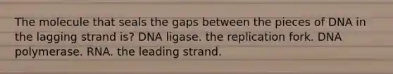 The molecule that seals the gaps between the pieces of DNA in the lagging strand is? DNA ligase. the replication fork. DNA polymerase. RNA. the leading strand.