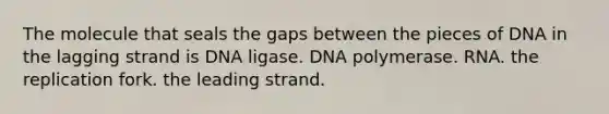 The molecule that seals the gaps between the pieces of DNA in the lagging strand is DNA ligase. DNA polymerase. RNA. the replication fork. the leading strand.