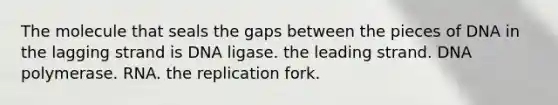 The molecule that seals the gaps between the pieces of DNA in the lagging strand is DNA ligase. the leading strand. DNA polymerase. RNA. the replication fork.