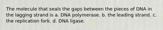 The molecule that seals the gaps between the pieces of DNA in the lagging strand is a. DNA polymerase. b. the leading strand. c. the replication fork. d. DNA ligase.