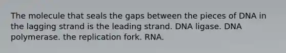 The molecule that seals the gaps between the pieces of DNA in the lagging strand is the leading strand. DNA ligase. DNA polymerase. the replication fork. RNA.