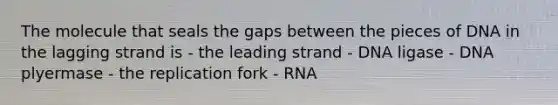 The molecule that seals the gaps between the pieces of DNA in the lagging strand is - the leading strand - DNA ligase - DNA plyermase - the replication fork - RNA