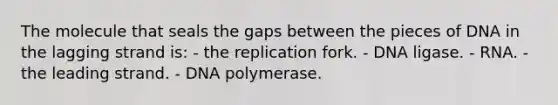 The molecule that seals the gaps between the pieces of DNA in the lagging strand is: - the replication fork. - DNA ligase. - RNA. - the leading strand. - DNA polymerase.