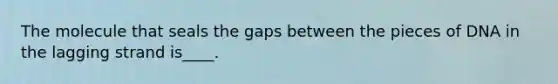 The molecule that seals the gaps between the pieces of DNA in the lagging strand is____.