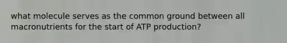 what molecule serves as the common ground between all macronutrients for the start of ATP production?