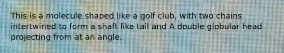 This is a molecule shaped like a golf club, with two chains intertwined to form a shaft like tail and A double globular head projecting from at an angle.