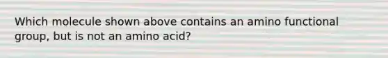 Which molecule shown above contains an amino functional group, but is not an amino acid?