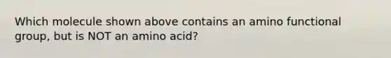 Which molecule shown above contains an amino functional group, but is NOT an amino acid?