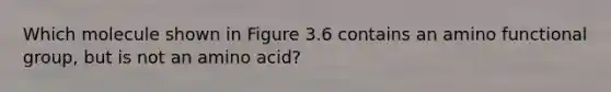 Which molecule shown in Figure 3.6 contains an amino functional group, but is not an amino acid?