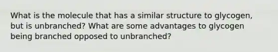 What is the molecule that has a similar structure to glycogen, but is unbranched? What are some advantages to glycogen being branched opposed to unbranched?