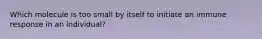 Which molecule is too small by itself to initiate an immune response in an individual?