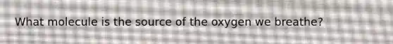 What molecule is the source of the oxygen we breathe?