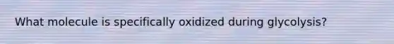 What molecule is specifically oxidized during glycolysis?