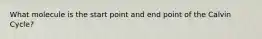 What molecule is the start point and end point of the Calvin Cycle?