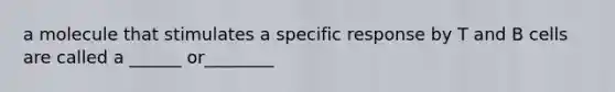 a molecule that stimulates a specific response by T and B cells are called a ______ or________