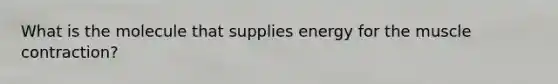 What is the molecule that supplies energy for the muscle contraction?