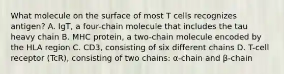 What molecule on the surface of most T cells recognizes antigen? A. IgT, a four-chain molecule that includes the tau heavy chain B. MHC protein, a two-chain molecule encoded by the HLA region C. CD3, consisting of six different chains D. T-cell receptor (TcR), consisting of two chains: α-chain and β-chain