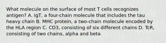 What molecule on the surface of most T cells recognizes antigen? A. IgT, a four-chain molecule that includes the tau heavy chain B. MHC protein, a two-chain molecule encoded by the HLA region C. CD3, consisting of six different chains D. TcR, consisting of two chains, alpha and beta