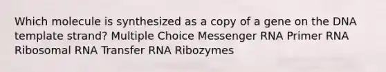 Which molecule is synthesized as a copy of a gene on the DNA template strand? Multiple Choice <a href='https://www.questionai.com/knowledge/kDttgcz0ig-messenger-rna' class='anchor-knowledge'>messenger rna</a> Primer RNA <a href='https://www.questionai.com/knowledge/k4lWAiAI7W-ribosomal-rna' class='anchor-knowledge'>ribosomal rna</a> <a href='https://www.questionai.com/knowledge/kYREgpZMtc-transfer-rna' class='anchor-knowledge'>transfer rna</a> Ribozymes