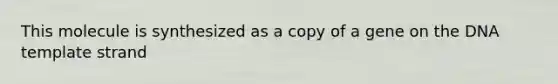 This molecule is synthesized as a copy of a gene on the DNA template strand