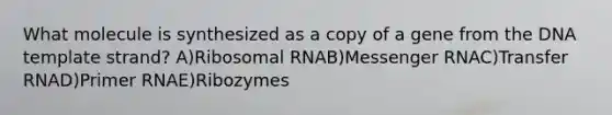 What molecule is synthesized as a copy of a gene from the DNA template strand? A)Ribosomal RNAB)Messenger RNAC)Transfer RNAD)Primer RNAE)Ribozymes