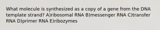 What molecule is synthesized as a copy of a gene from the DNA template strand? A)ribosomal RNA B)messenger RNA C)transfer RNA D)primer RNA E)ribozymes