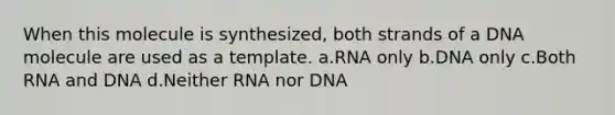 When this molecule is synthesized, both strands of a DNA molecule are used as a template. a.RNA only b.DNA only c.Both RNA and DNA d.Neither RNA nor DNA